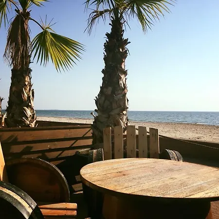 Pirates מאמאיה